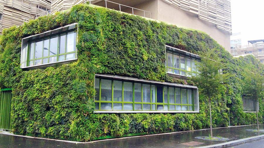 Une façade végétale durable